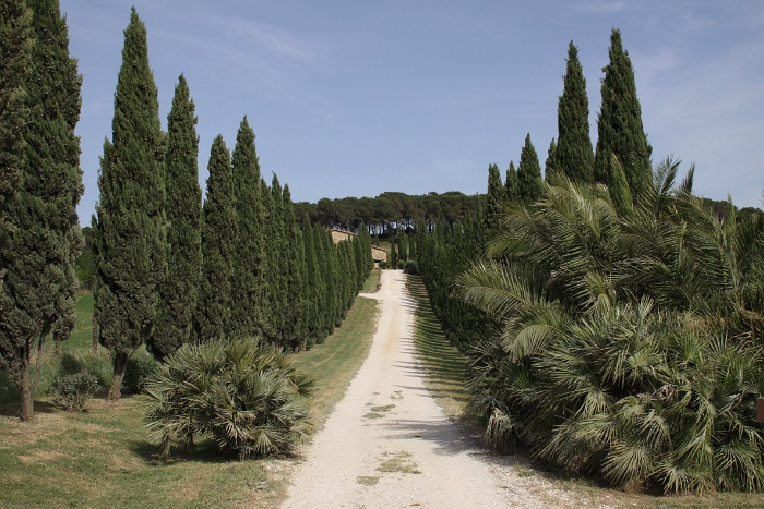 Toscane 09 - 094 - Paysages